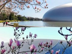 -国家大剧院
