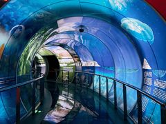 -房山世界地质公园博物馆