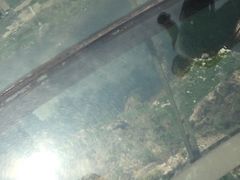 -十渡高山漂流