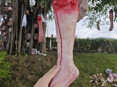 -贵安欢乐世界