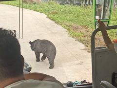 -西安秦岭野生动物园