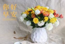 -香薇妮丝女子减肥院