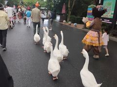 -杭州野生动物世界