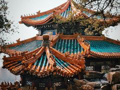 -颐和园