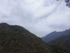 -千岛湖石林