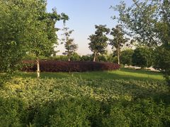 -九里河湿地公园