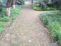 -解放人民公园