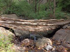 -云岫谷游猎自然风景区