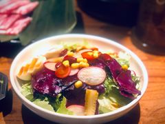 蔬菜沙拉-九田家黑牛烤肉料理(太阳宫广场店)
