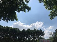 -海珠儿童公园