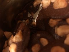 -香港珍妮曲奇聪明小熊饼干(迪美购物中心店)