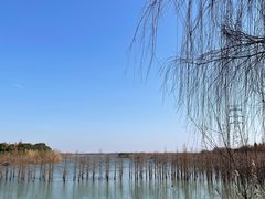 -南湖湿地公园