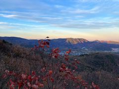 -北京西山国家森林公园