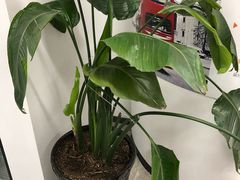 -新航道雅思托福·留学·考研培训(人民广场校区)