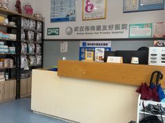 -伟伟宠物医院·瑞派猫友好医院·猫科(光谷店)