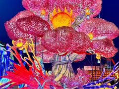 -淄博花灯齐彩城