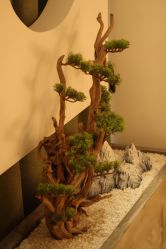 -松和日式美容整骨