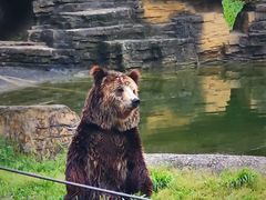 -杭州野生动物世界