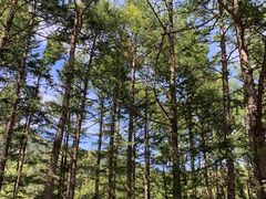 -白草畔自然风景区