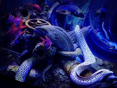 -成都浩海立方海洋公园