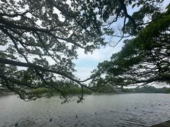 -江心屿景区