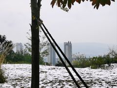 -陕西省西安植物园