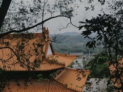 -南宁良凤江国家森林公园