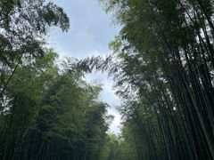 -蜀南竹海景区