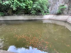 -北京上方山国家森林公园