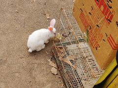 -武汉紫薇都市田园