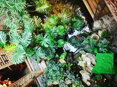 -聚缘堂·海鲜私房菜(松岭路店)