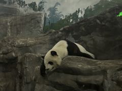 -鄂尔多斯野生动物园