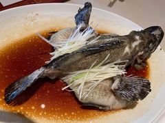 -利苑酒家(华熙国际店)