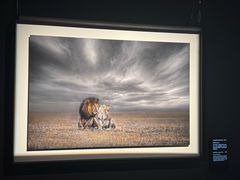 -罗红摄影艺术馆