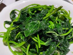 清炒红薯叶-巴蜀风月·聚会团建·生日宴(宝安店)