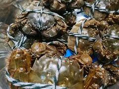 -青石桥市场北1-27号