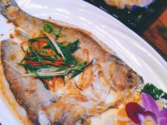 香煎海鲈鱼-JUKEBOX玖部音乐餐厅(华侨城店)