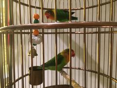 -小厨娘淮扬菜(六合欢乐港店)