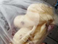 无糖麻薯-沪上酥铺(东晓南店)