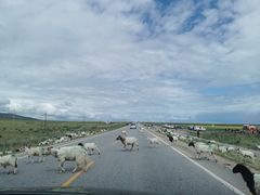 -青海湖国家重点风景名胜区