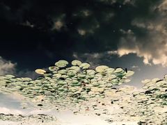 -中关村生命科学园