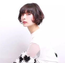 -爱维丽