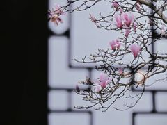 -耦园