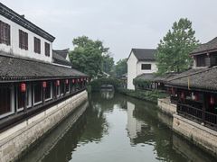 -鲁镇