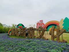 -嘉北郊野公园