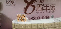 点击看大图 -生命加•Q考拉月子会所(玫瑰园店)