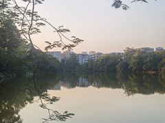 -中山公园(石岐街道)