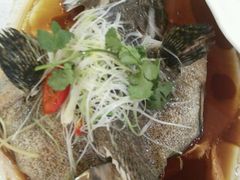 -渔民新村(番禺总店)