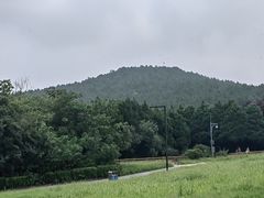 -秦始皇帝陵博物院-丽山园