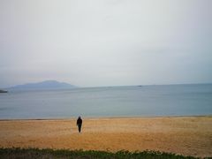 -东澳岛